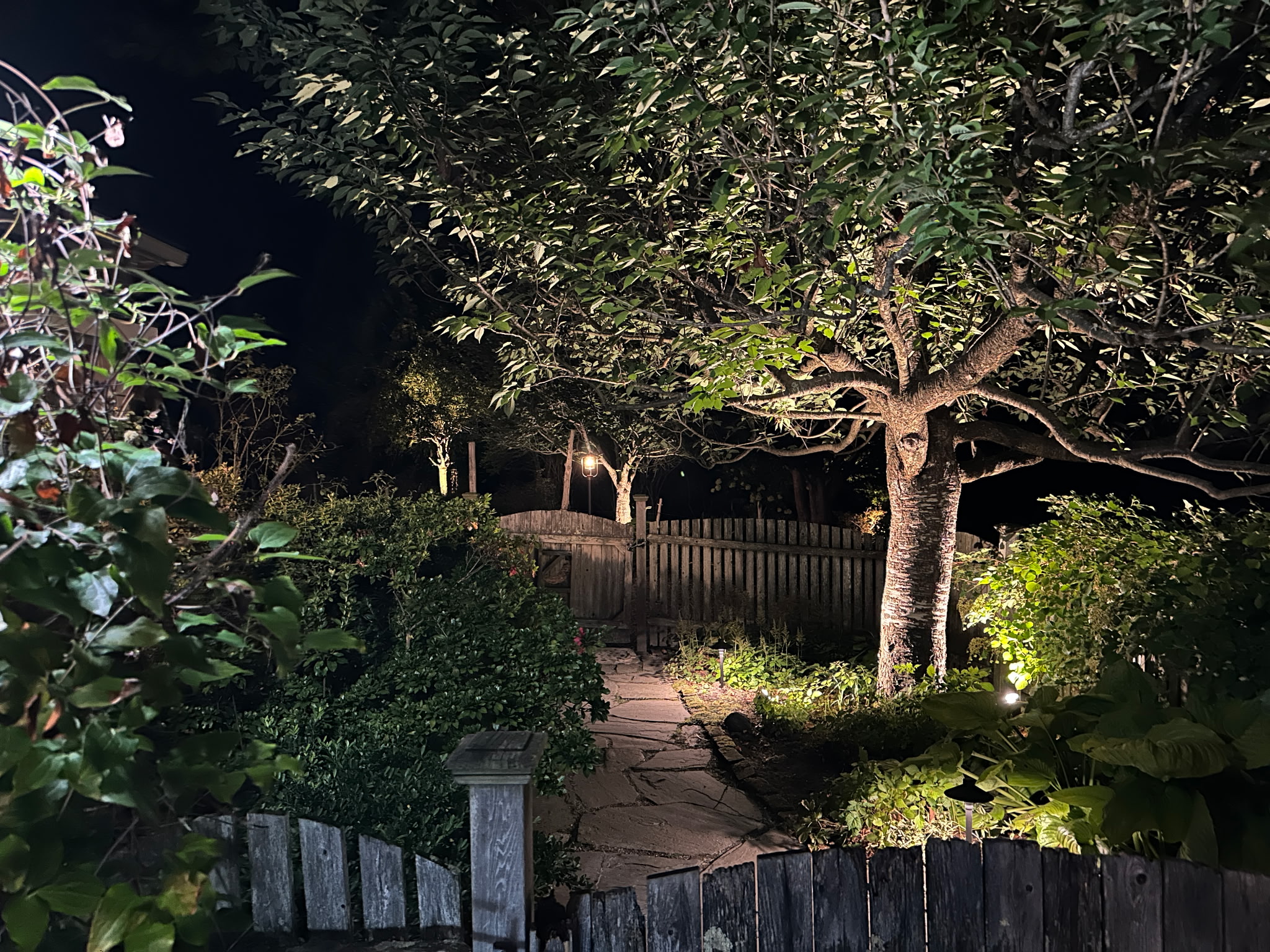 Landscape Lighting